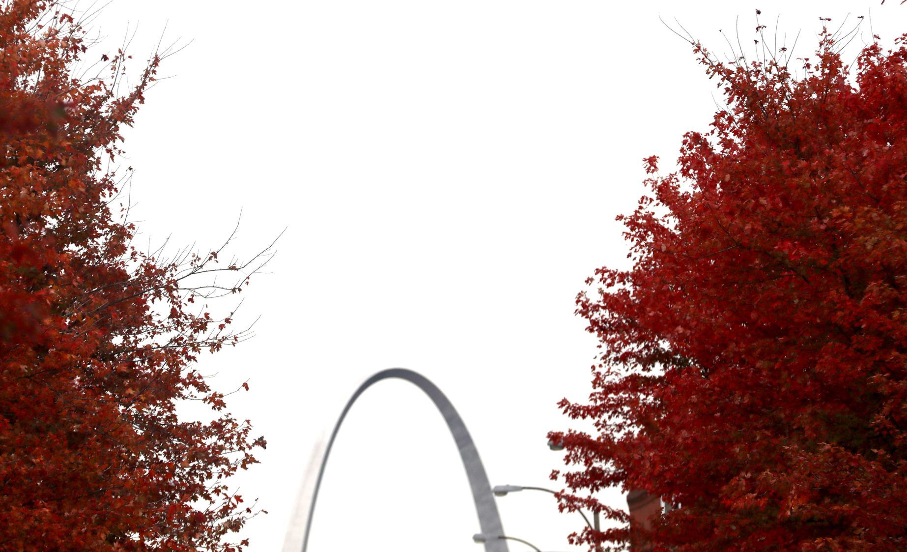Fall colors in urban St. Louis